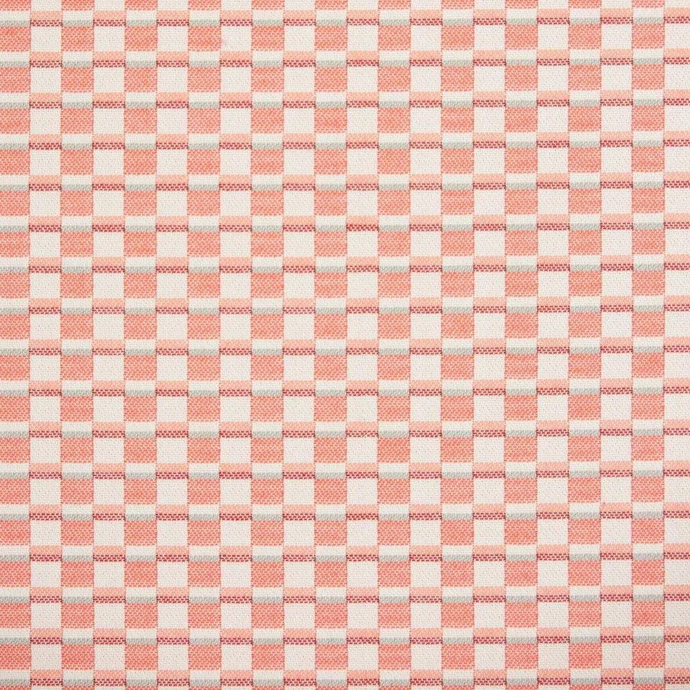 30060-03 by Charlotte Designer Fabric