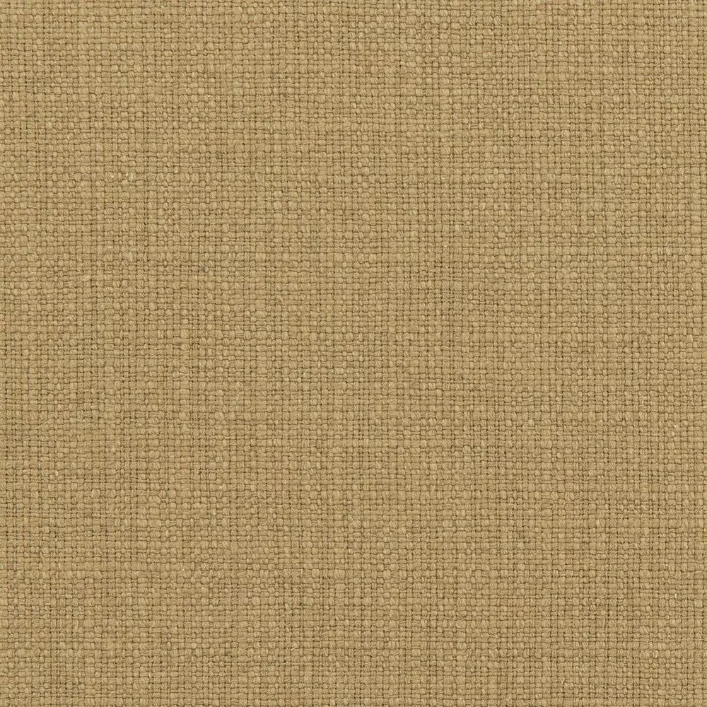 31000-05 by Charlotte Designer Fabric
