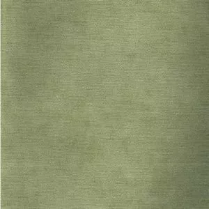 Colony Citron 335 by Norbar Fabric