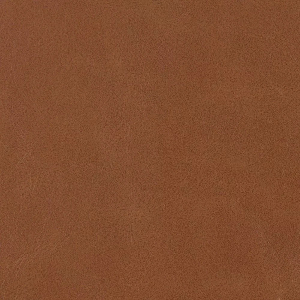 V205 Pecan by Charlotte Designer Fabric