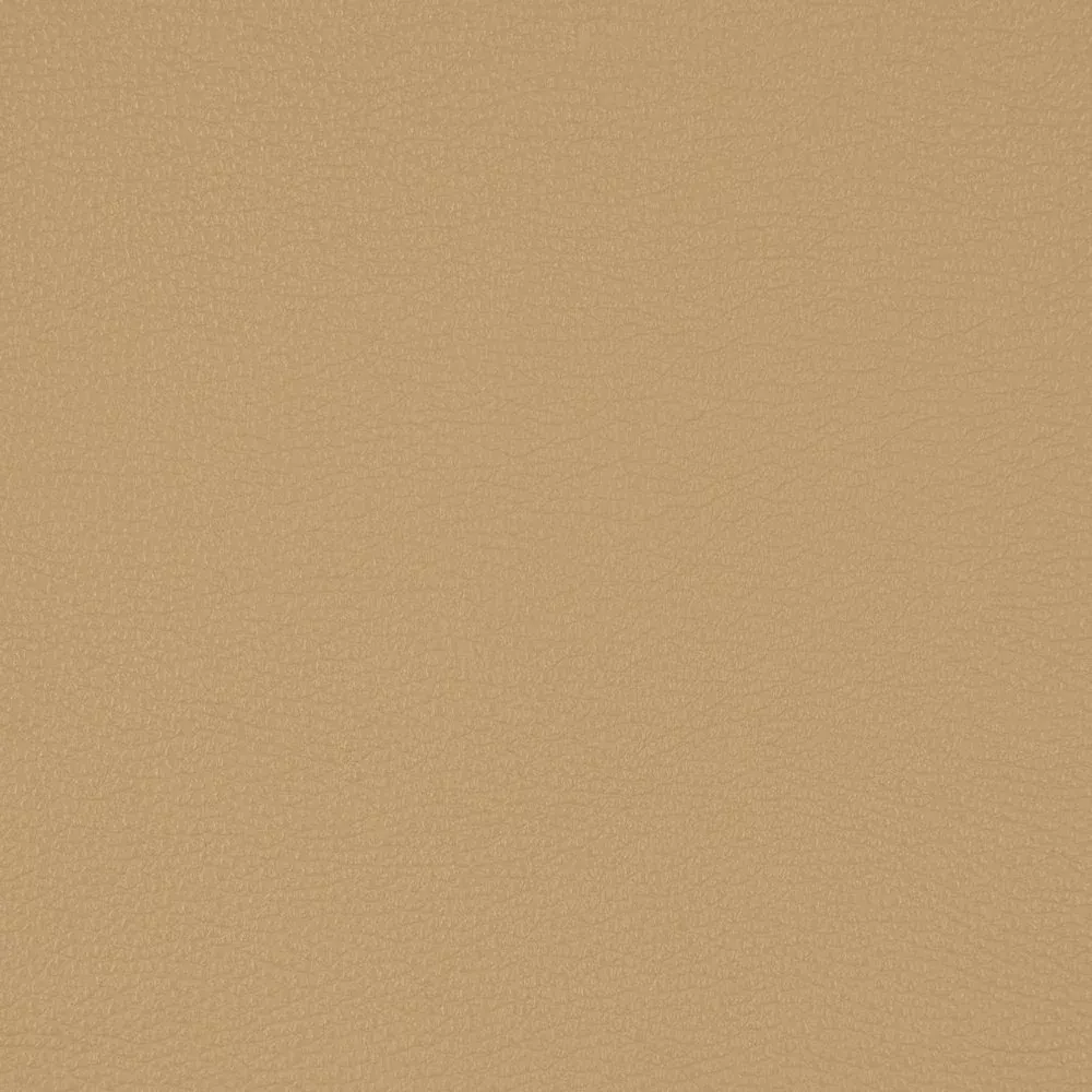 V222 Fawn by Charlotte Designer Fabric