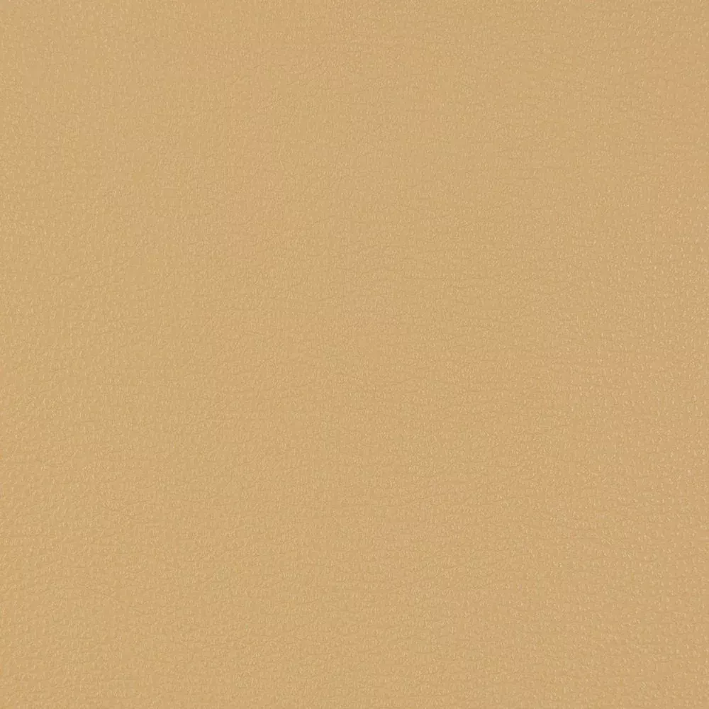 V229 Beach by Charlotte Designer Fabric